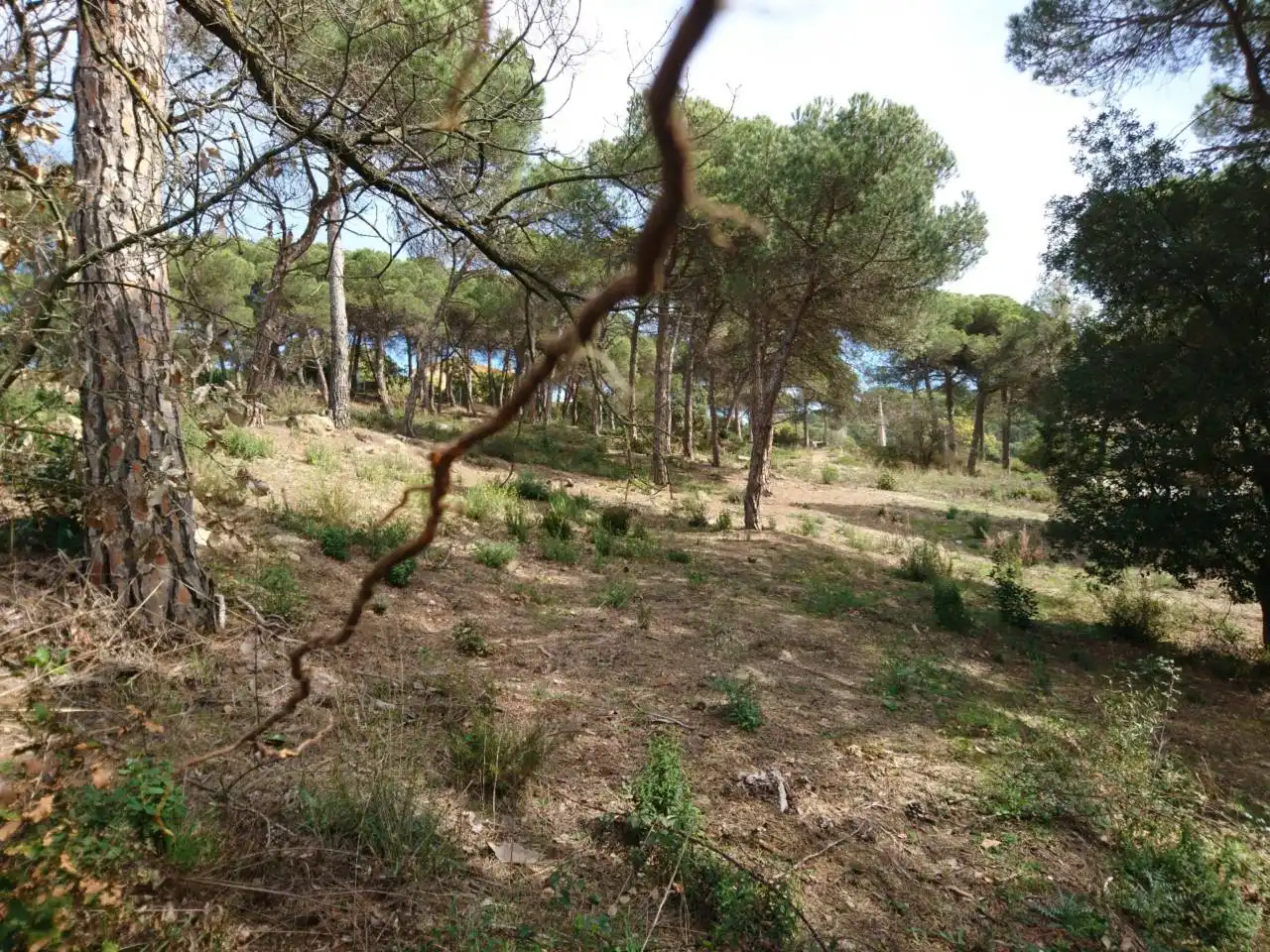 Terreny residencial en venda a Vilanova del Vallès, imagen 22