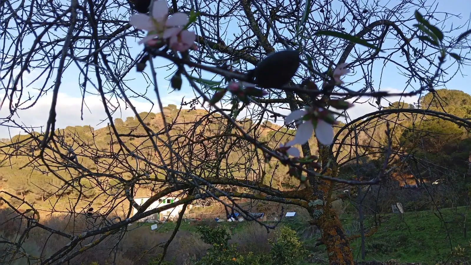 Casa rustica in vendita a Camino Los Guaperos , Paraje Majada Llana,, imagen 11