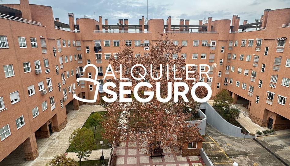 Photo 1 of Flat to rent in Pergamino, Valdebernardo - Valderribas, Madrid