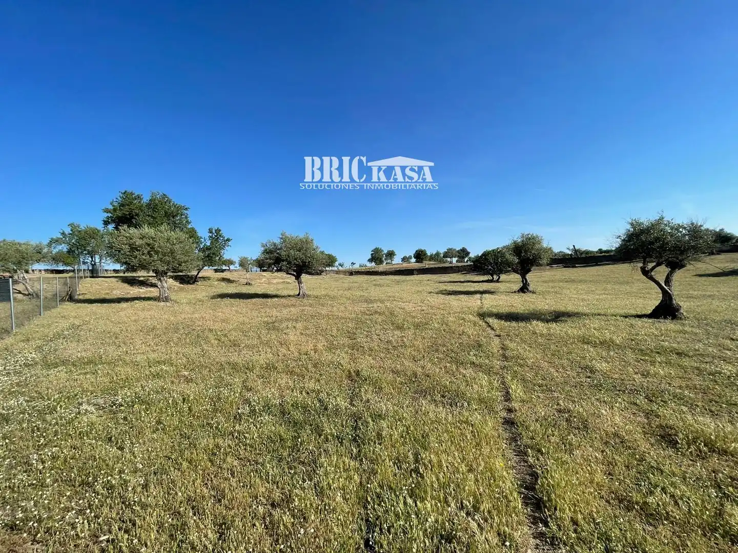 Casa o chalet en venta en Arroyo de la Luz con Terraza, Trastero y Piscina