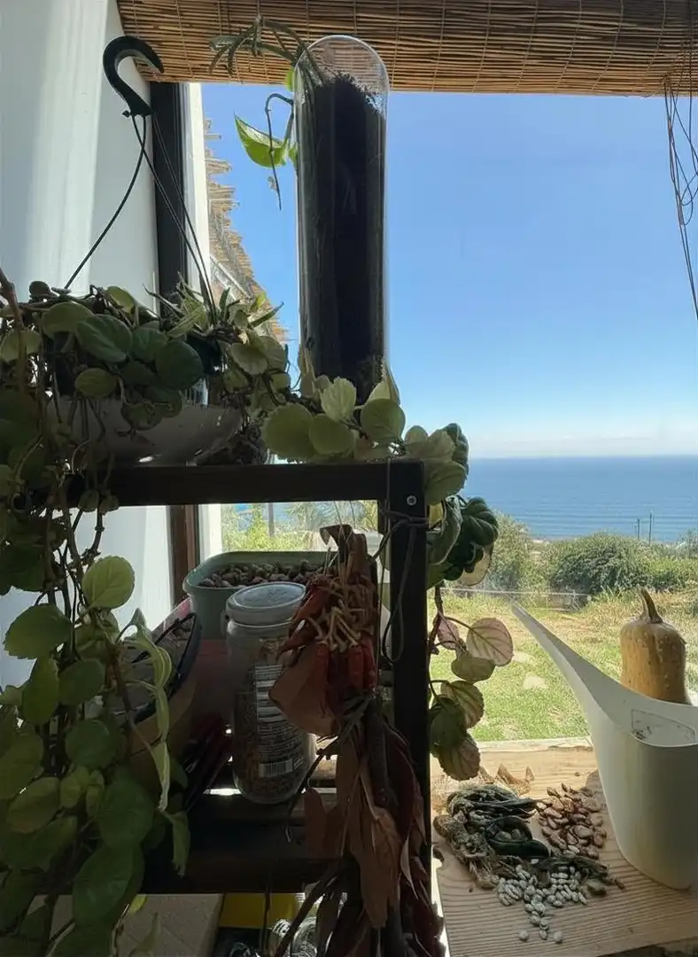 Terraza de Casa o chalet en venta en Algeciras con Terraza, Trastero y Balcón