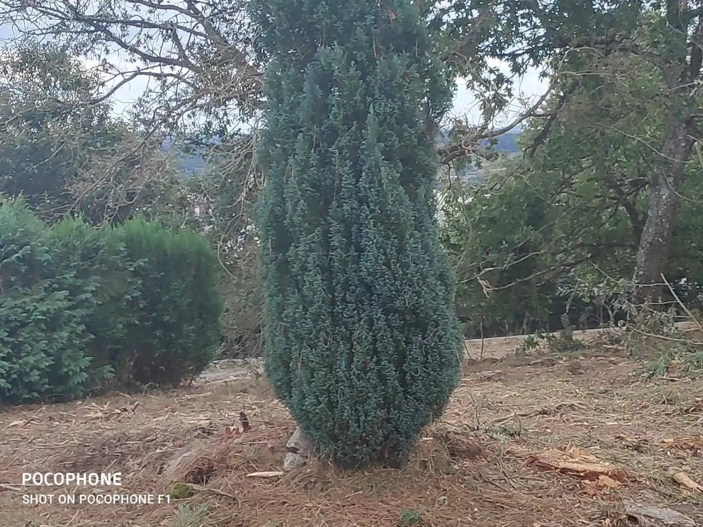 Terreni e lotti in vendita a Chantada, imagen 7