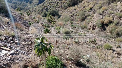 Foto 4 de Residencial en venda a Lagos, Málaga