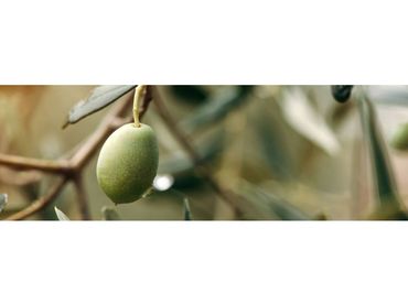 Terreno rustico in vendita a Priego de Córdoba