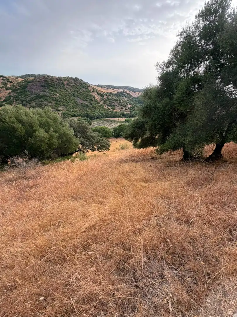 Rural land for sale in Morón de la Frontera, imagen 12