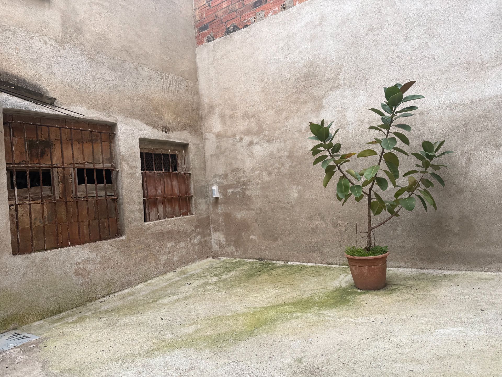 Vista exterior de Casa o xalet en venda en Sant Cugat Sesgarrigues amb Calefacció, Jardí privat i Terrassa