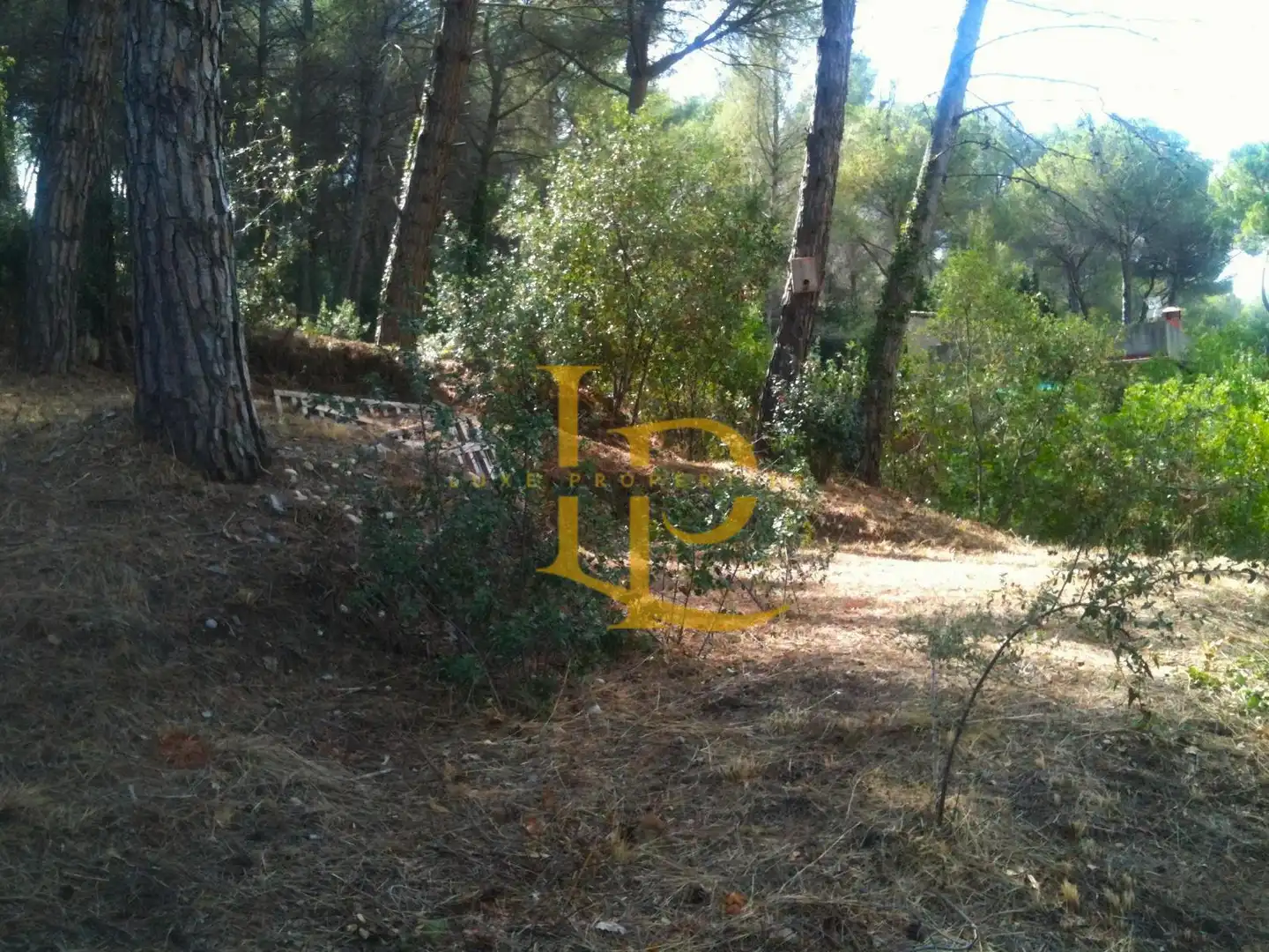 Wohnbaugrundstück zum Verkauf in Passeig Walt Disney 23, imagen 6