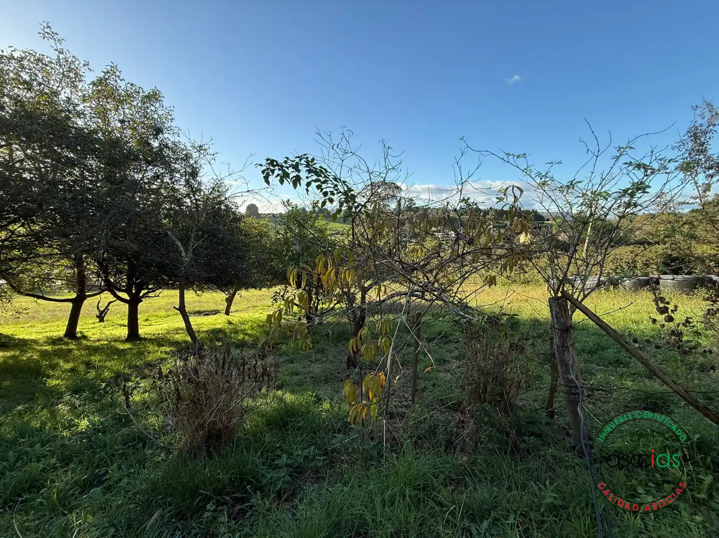 Terreno rustico in vendita a Carreño - Rebollada, imagen 14