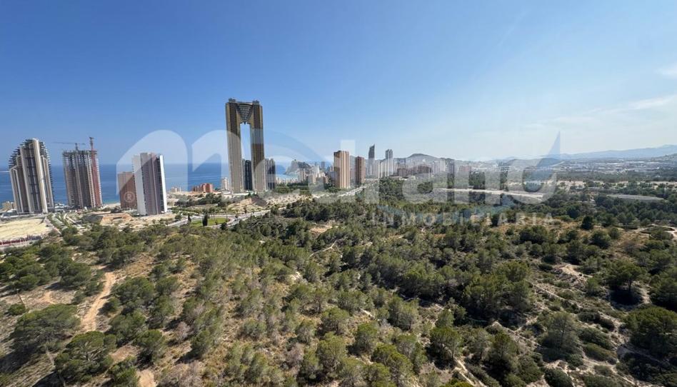 Photo 1 of Flat to rent in Via Parque, Alicante