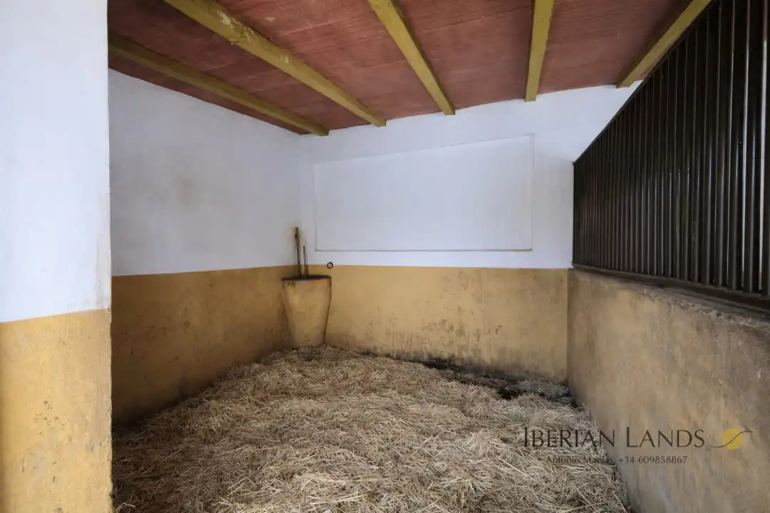 Terreno rustico in vendita a Nervión, imagen 20