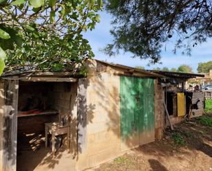 Vista exterior de Casa o xalet en venda en Calvià amb Jardí privat