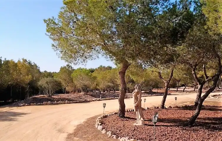Vista exterior de Finca rústica en venta en Rojales con Aire acondicionado, Calefacción y Terraza