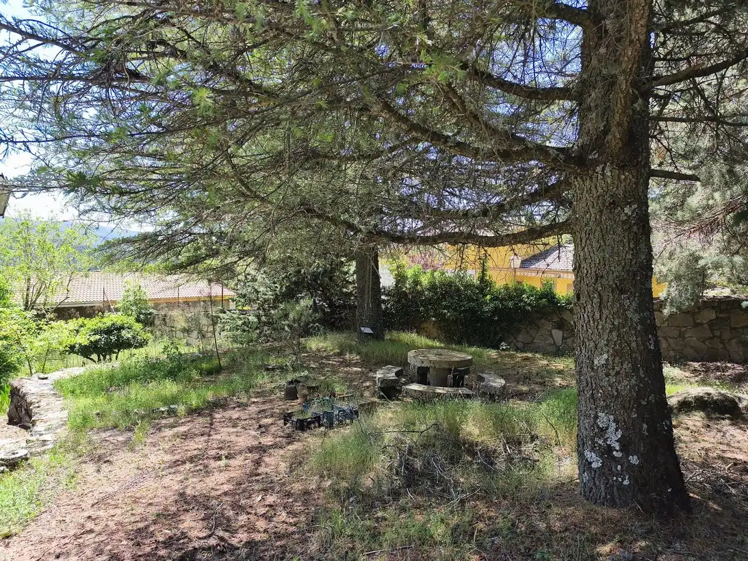Casa o xalet en venda a Peguerinos