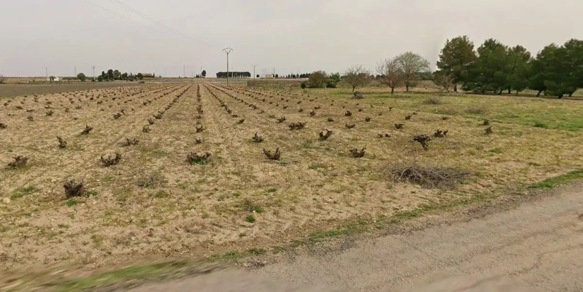 Terrenos y solares en venta en Socuéllamos, imagen 2