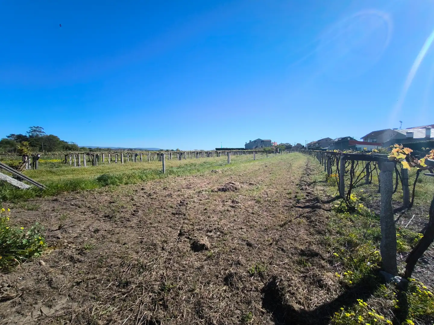 Residential for sale in Vilanova de Arousa