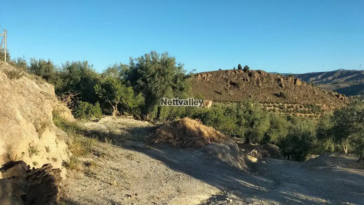 Terreni e lotti in vendita a FUENTE DEL OLIVO, imagen 11