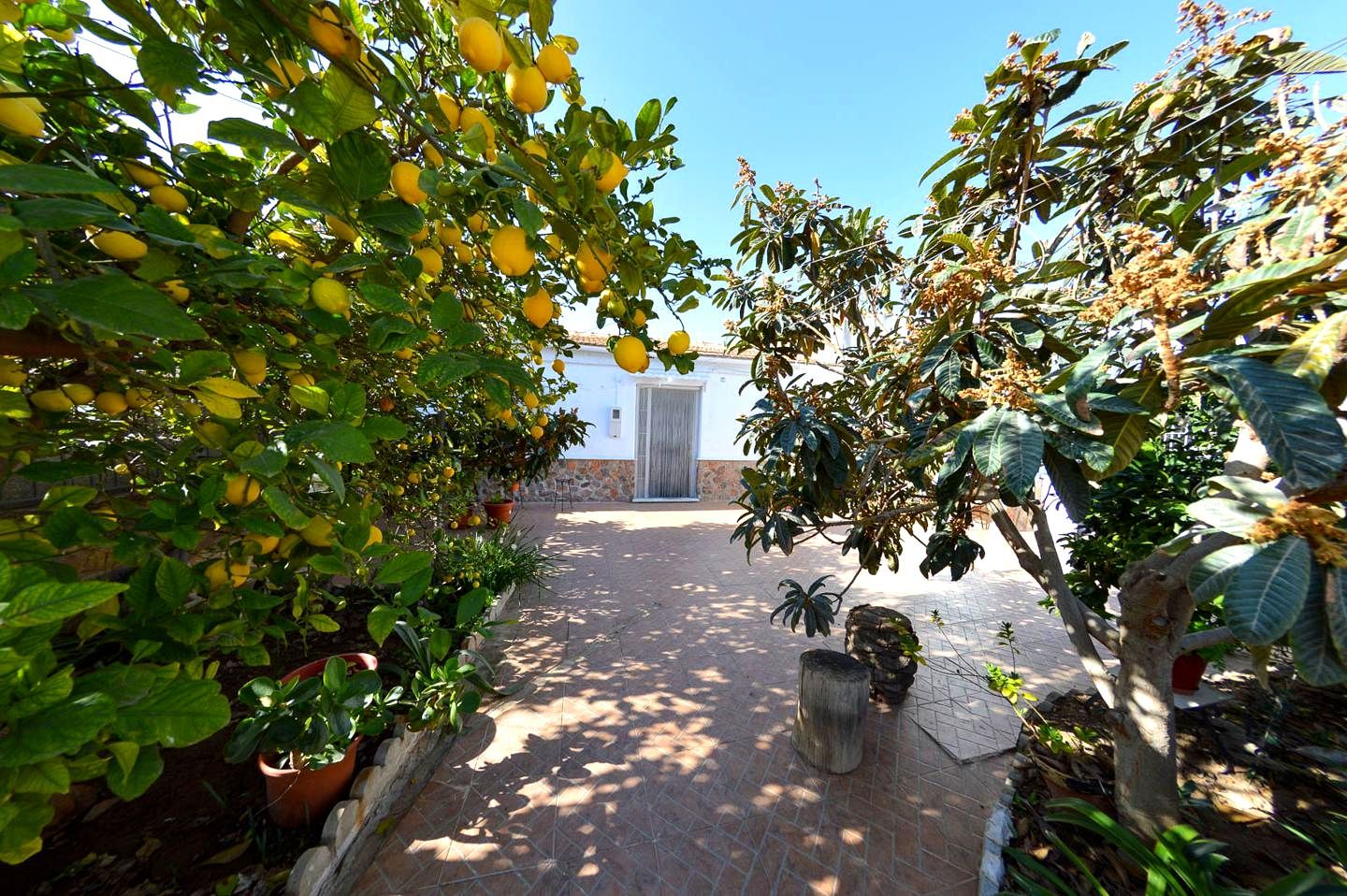 Garden of House or chalet for sale in Huércal-Overa  with Private garden, Terrace and Furnished
