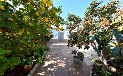 Garden of House or chalet for sale in Huércal-Overa  with Private garden, Terrace and Furnished