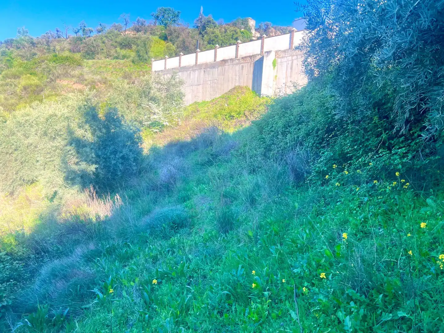 Terreno residencial en venta en Nívar, imagen 5