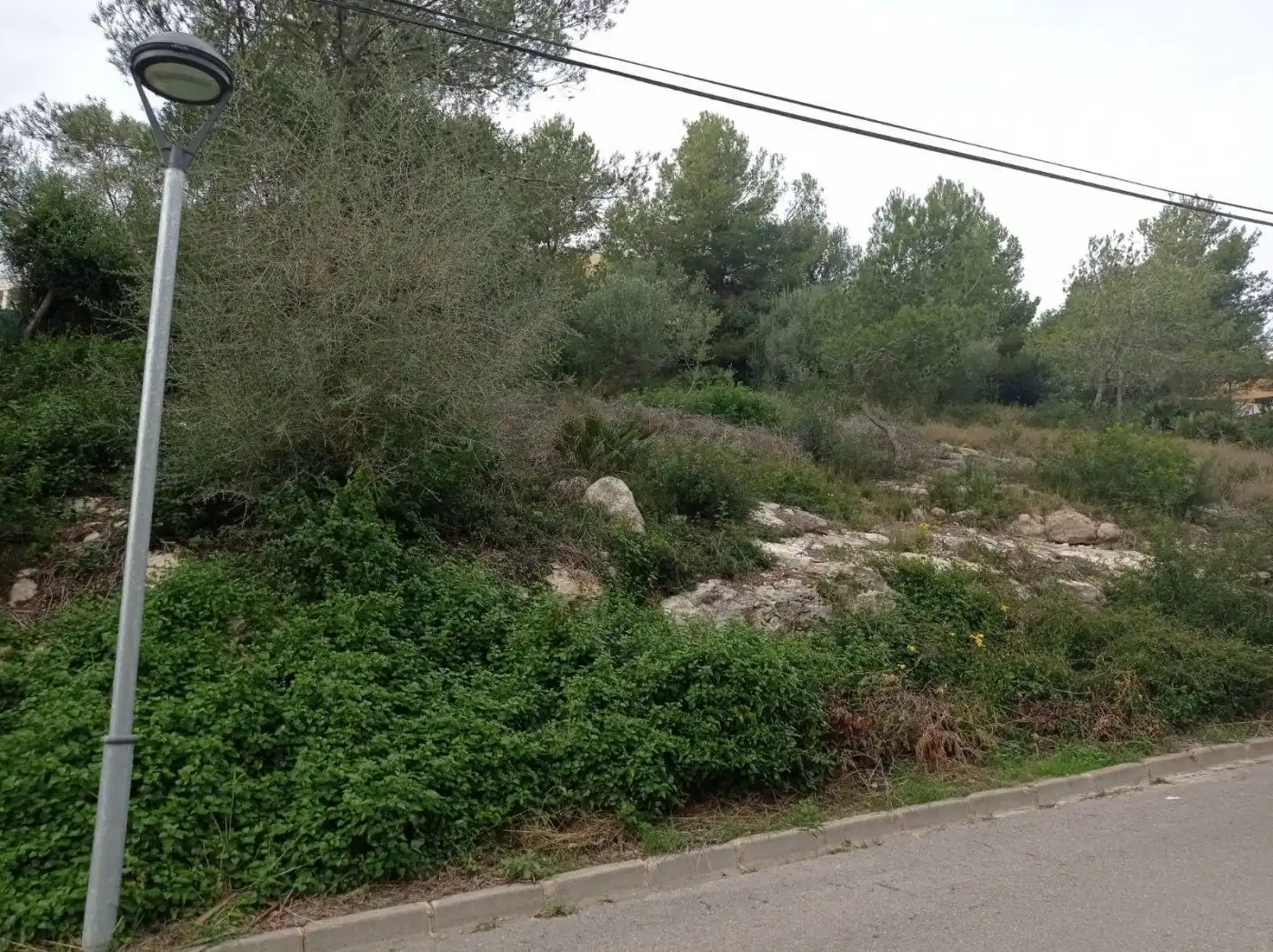 Terreno rustico in vendita a TORRE DELS ESCIPIONS