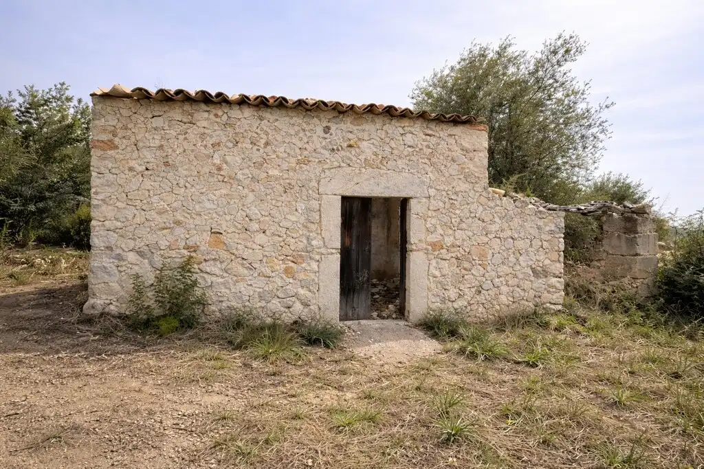 Vista exterior de Finca rústica en venda en Lloseta amb Jardí privat i Terrassa