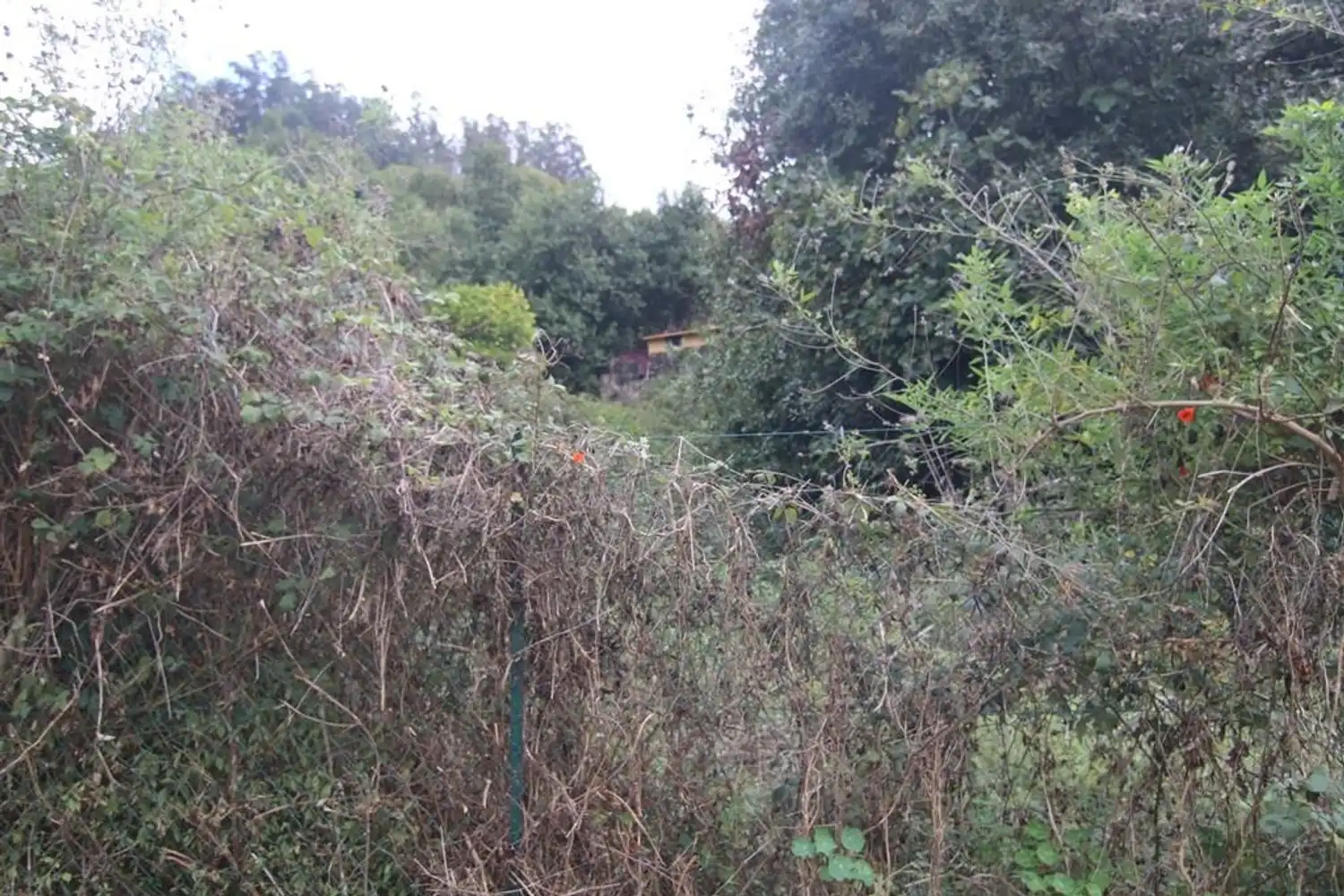Terreno en venta en Valleseco