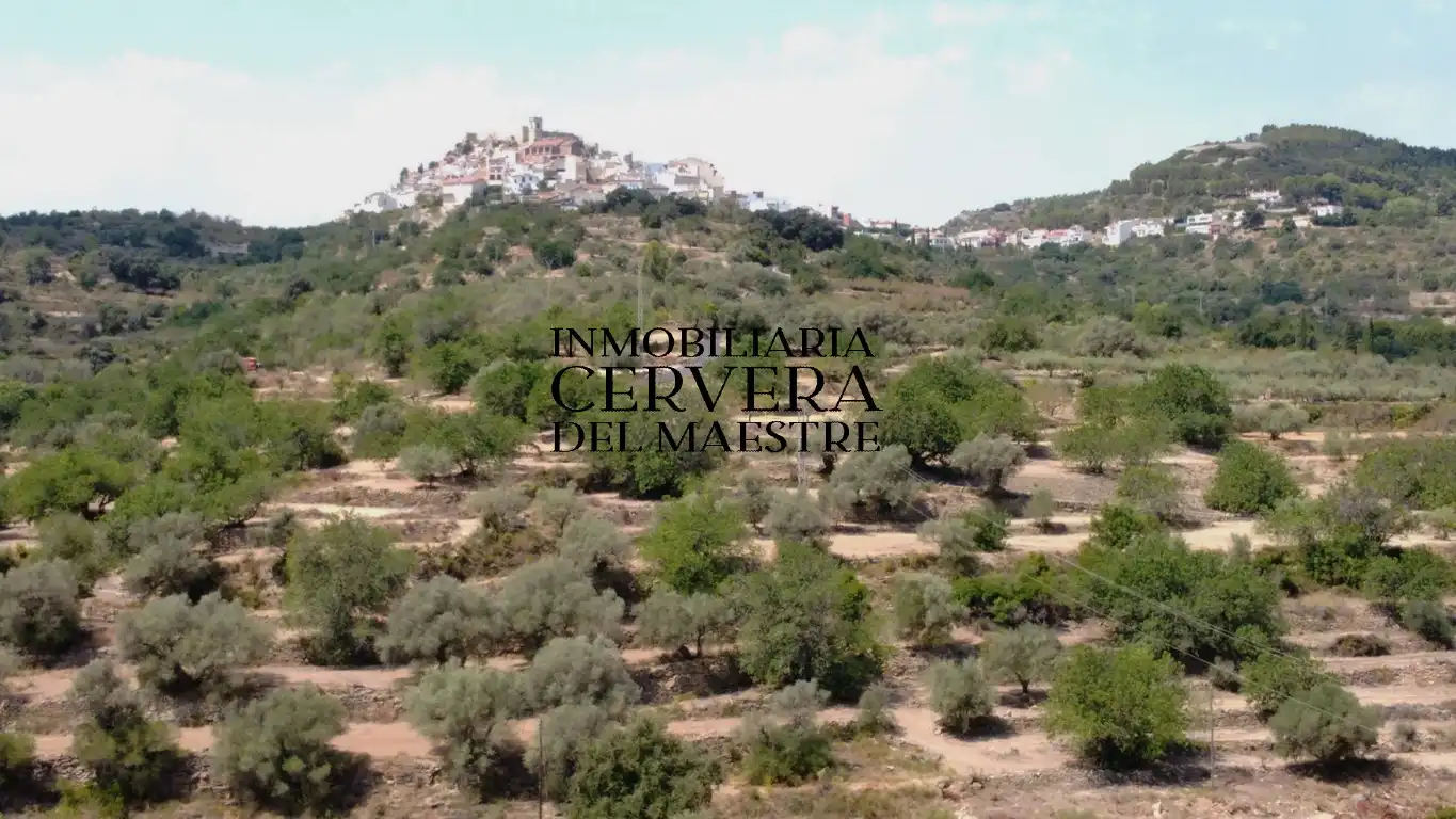 Terreno rustico in vendita a Cervera del Maestre, imagen 17