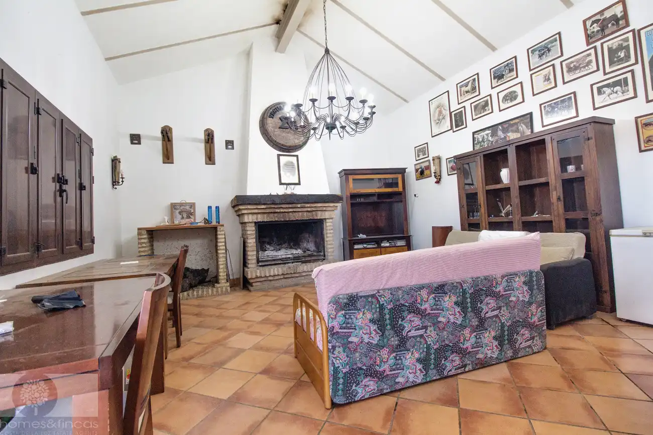 Sala de estar de Finca rústica en venta en Trigueros