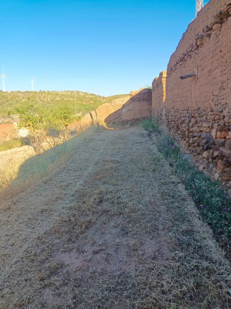 Rural land for sale in Nigüelas, imagen 17