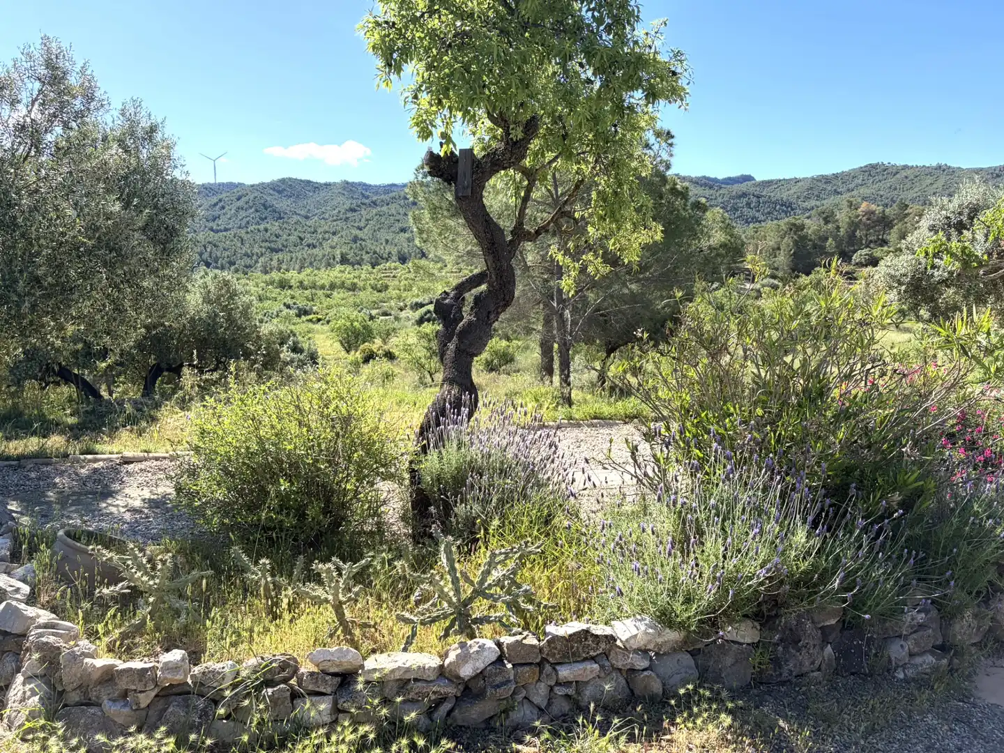 Jardí de Finca rústica en venda en Ascó amb Aire condicionat, Calefacció i Piscina