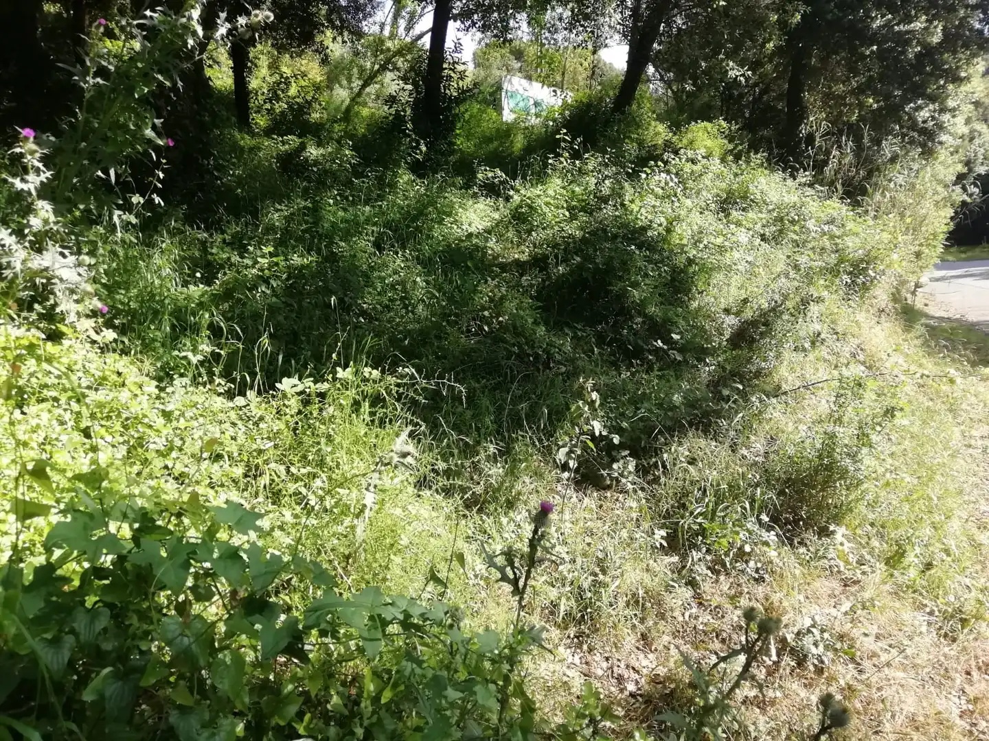 Residential land for sale in Sant Pere de Vilamajor, imagen 5