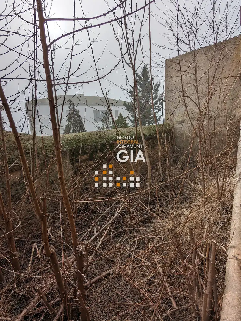 Casa o xalet en venda en Els Plans de Sió amb Terrassa