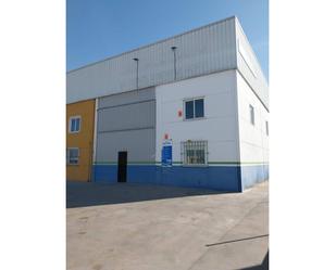 Exterior view of Industrial buildings for sale in Manzanares