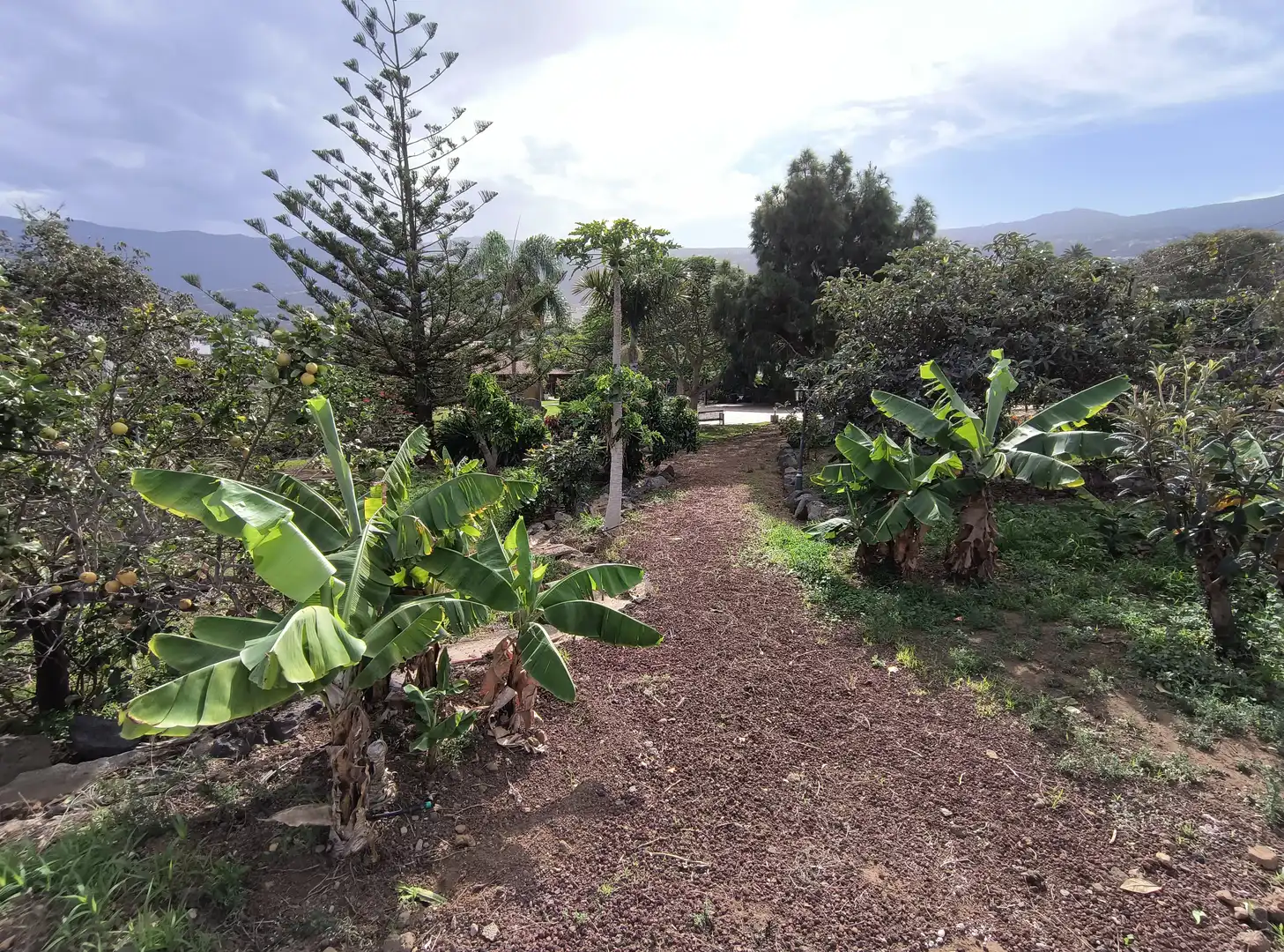 Casa o chalet en venta en La Orotava con Jardín privado, Parquet y Terraza