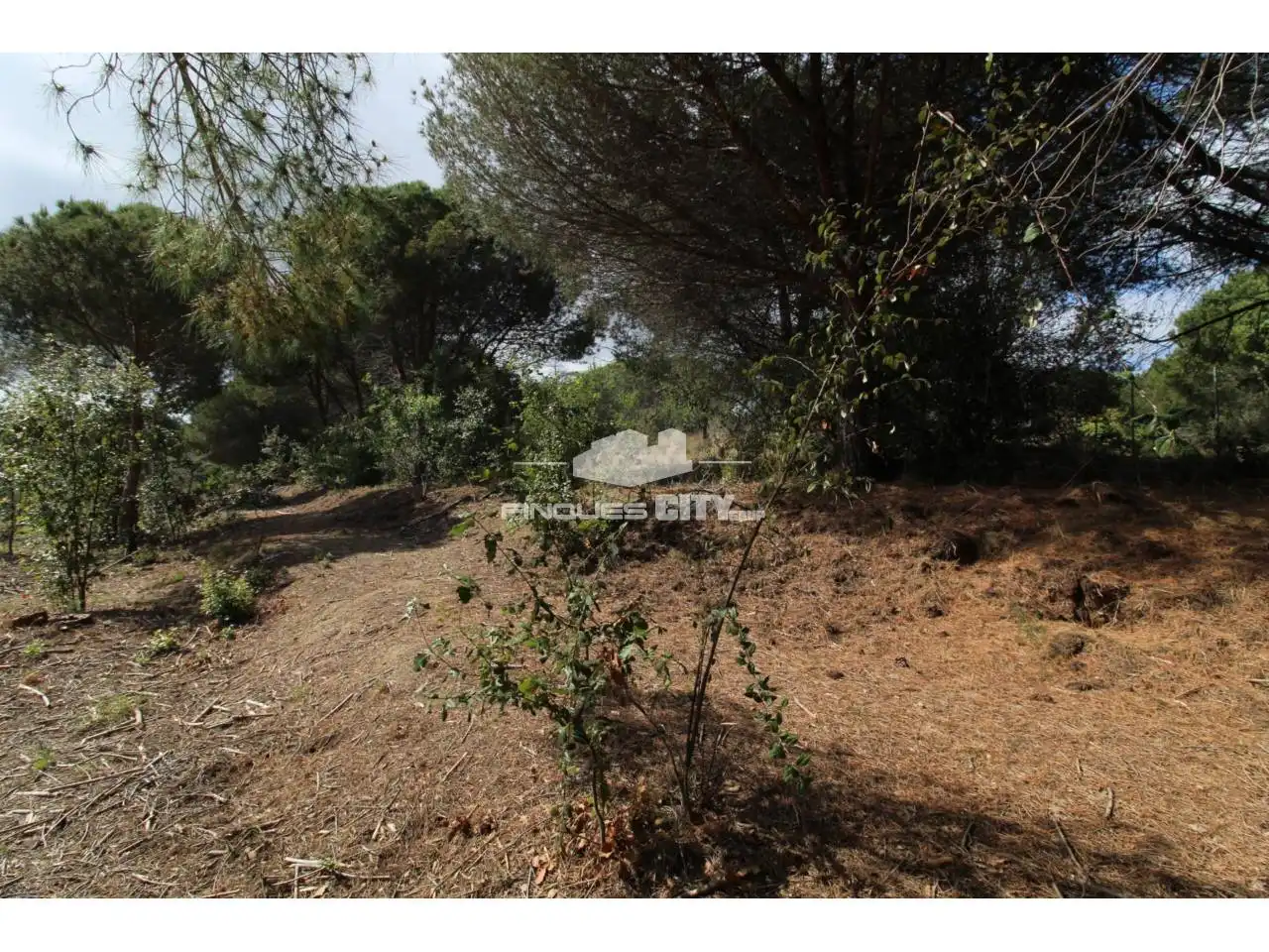 Residential land for sale in Avenida Àlbers, imagen 40