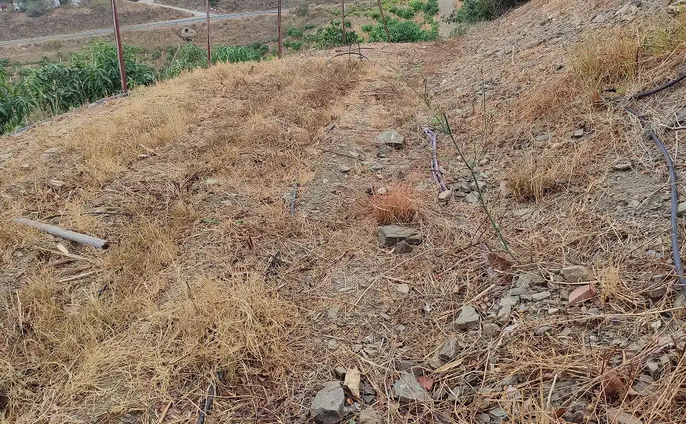 Finca rústica en venta en Vélez-Málaga con Jardín privado, Terraza y Piscina