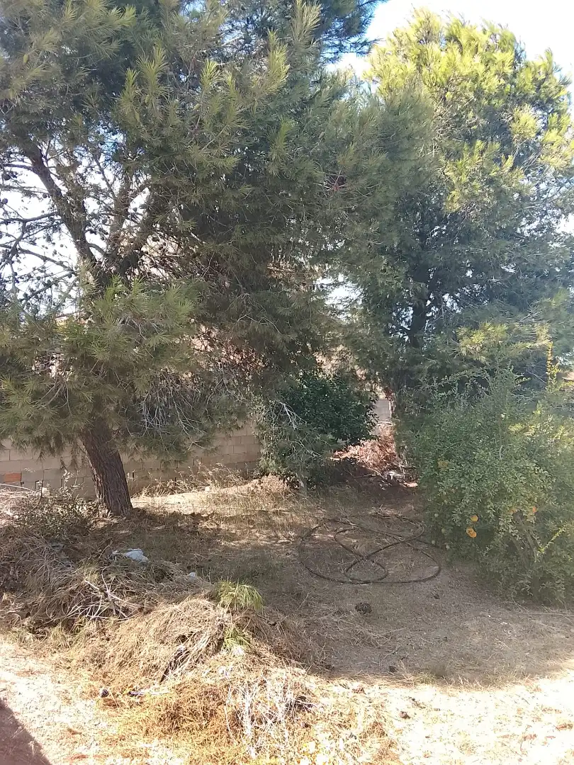 Xalet amb piscina en venda a Avenida de Almoradí 35, imagen 7