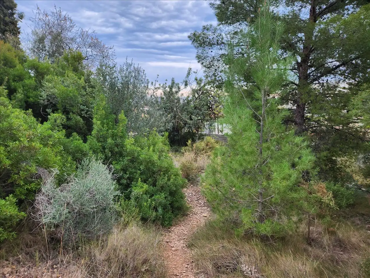 Residential land for sale in Pl Número 115, imagen 9