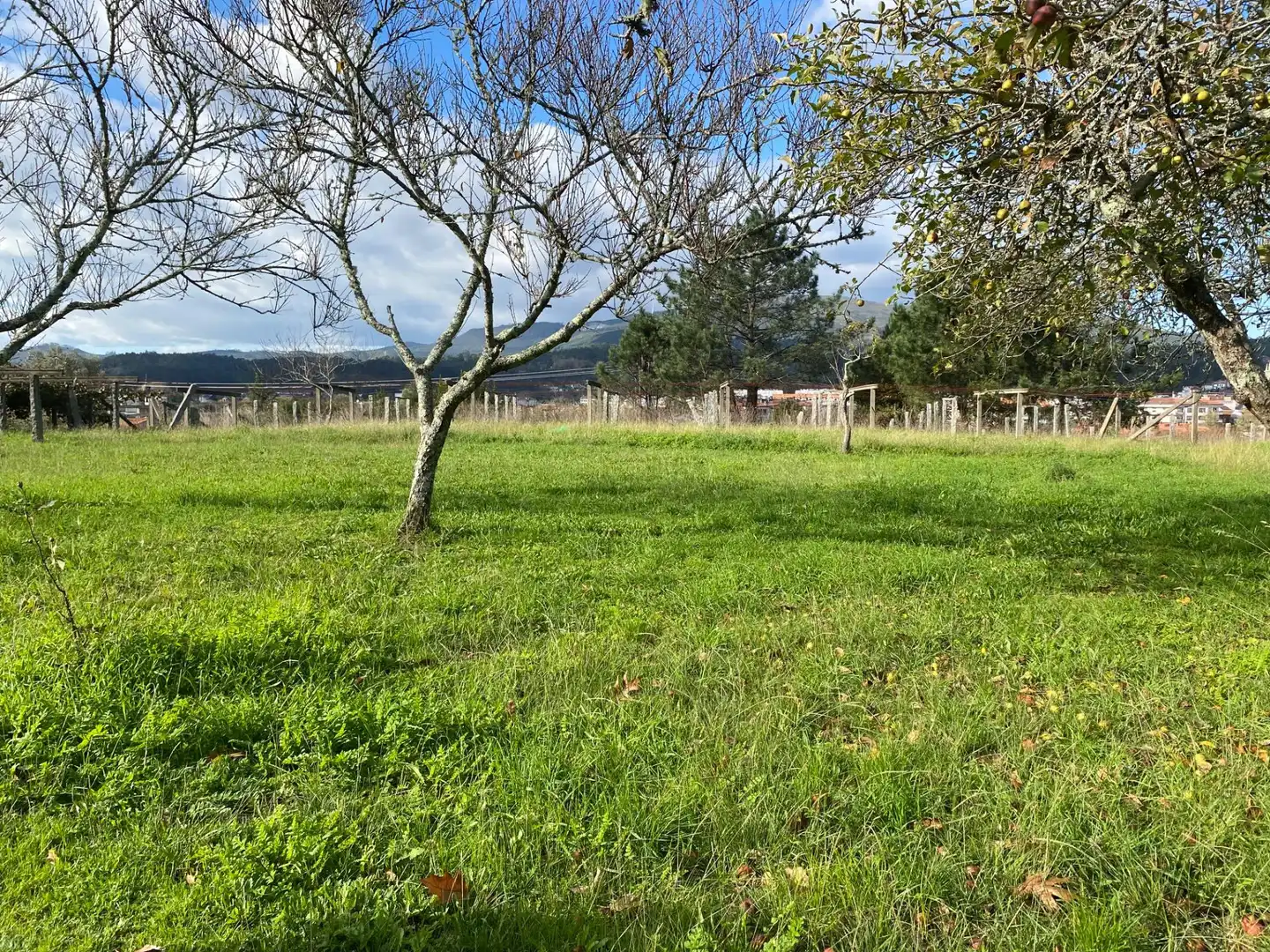 Casa o chalet en venta en Caldas de Reis