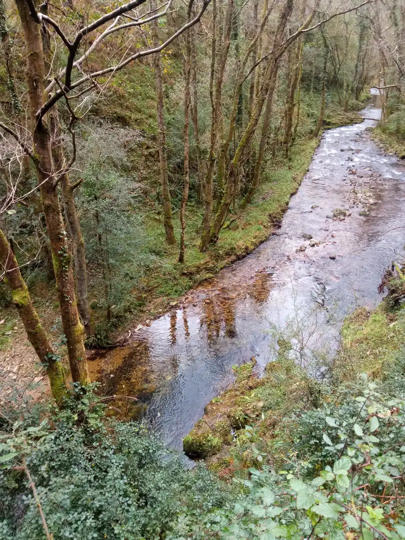 Vista exterior de Finca rústica en venda en Cudillero amb Jardí privat