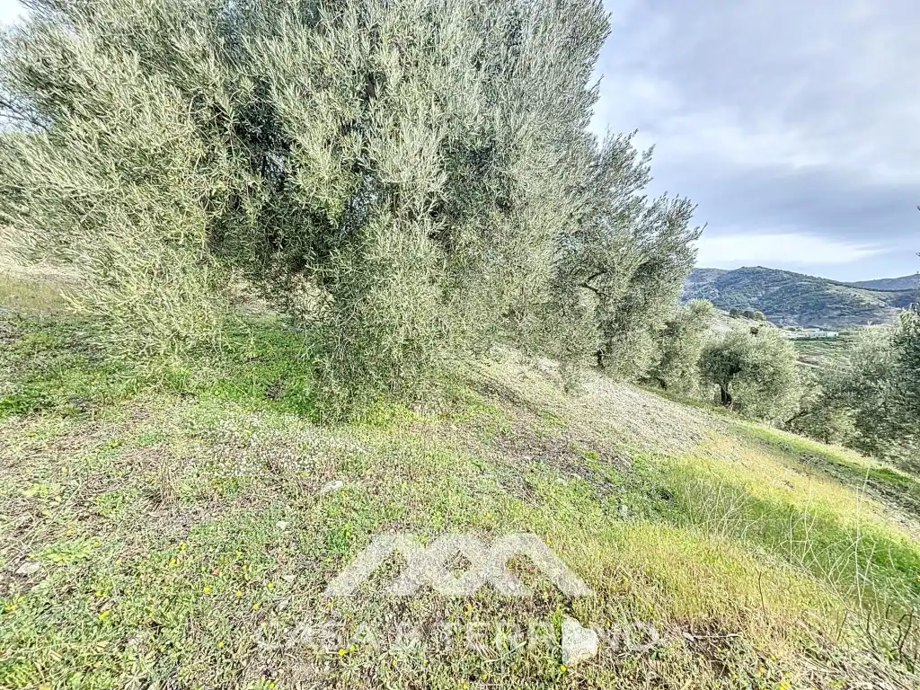 Terreni e lotti in vendita a Poligono 3 Paraje 42 Casa Pinta, imagen 7