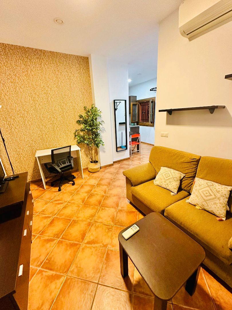 Living room of Apartment to rent in  Granada Capital  with Air Conditioner, Heating and Furnished