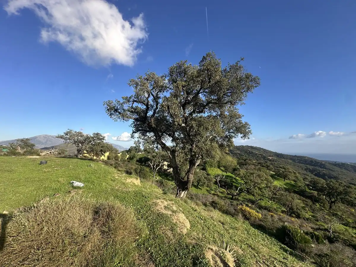 Residencial en venta en Ojén