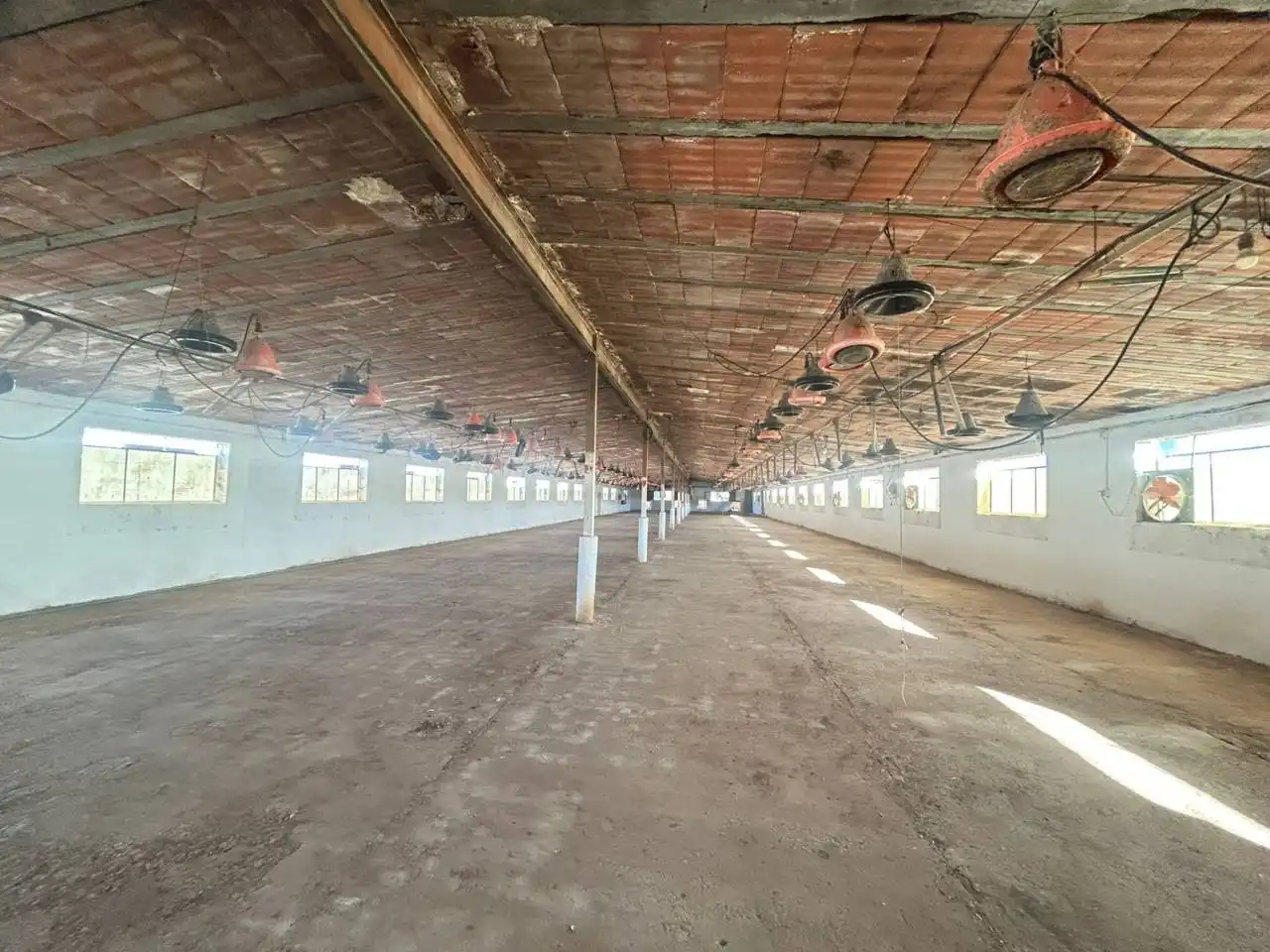Nave industrial en venta en Polán