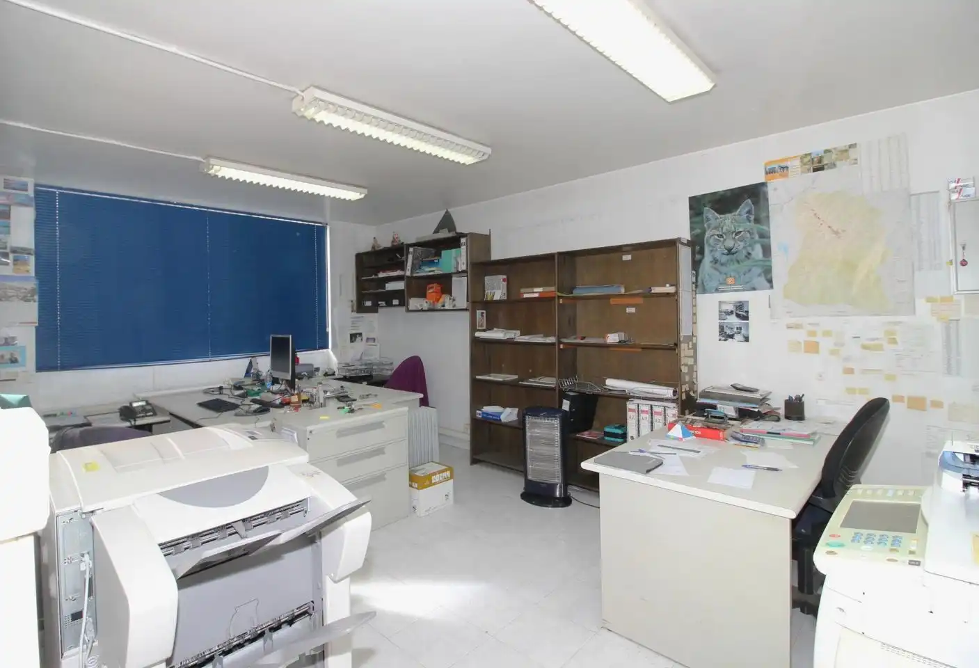 Nau industrial de lloguer en Oñati