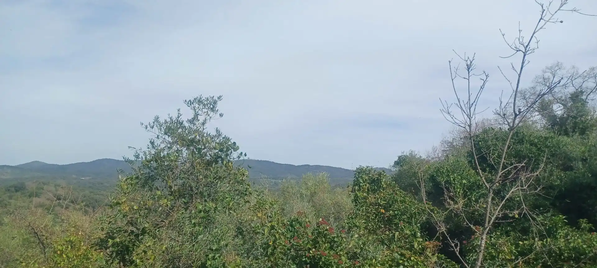 Terreni e lotti in vendita a Constantina, imagen 48