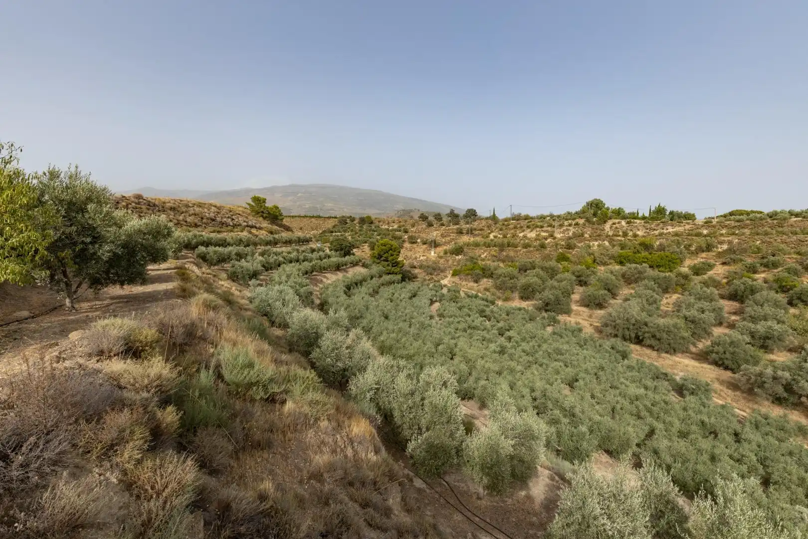 Land for sale in Lecrín