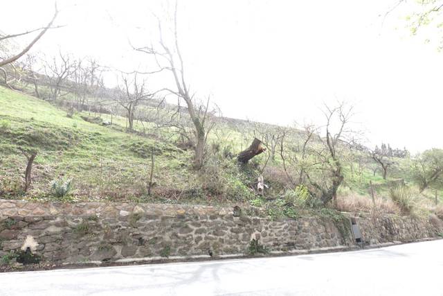 Finca rústica en Venta en Capileira