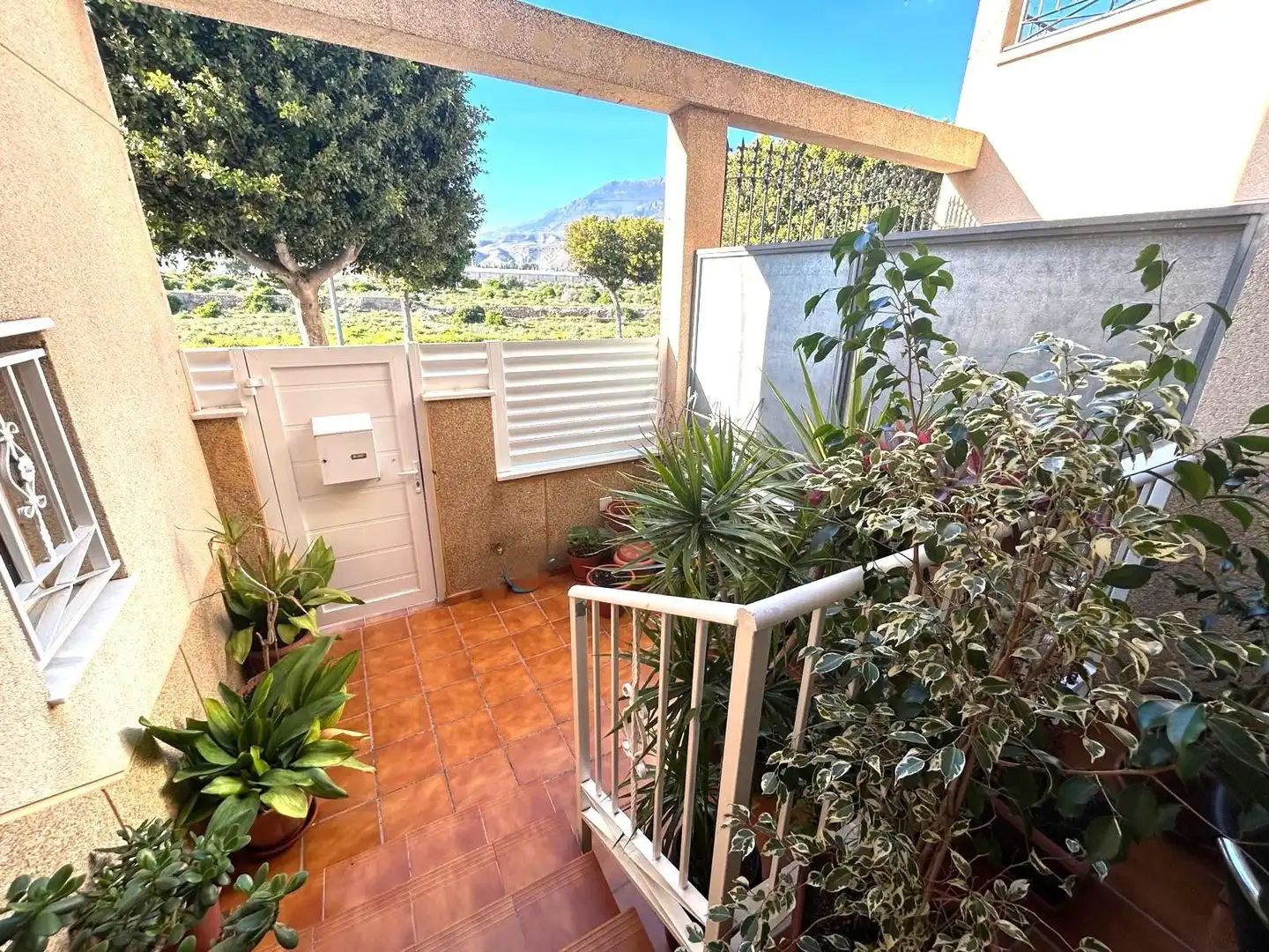 Jardí de Casa o xalet en venda en El Ejido amb Aire condicionat, Terrassa i Traster