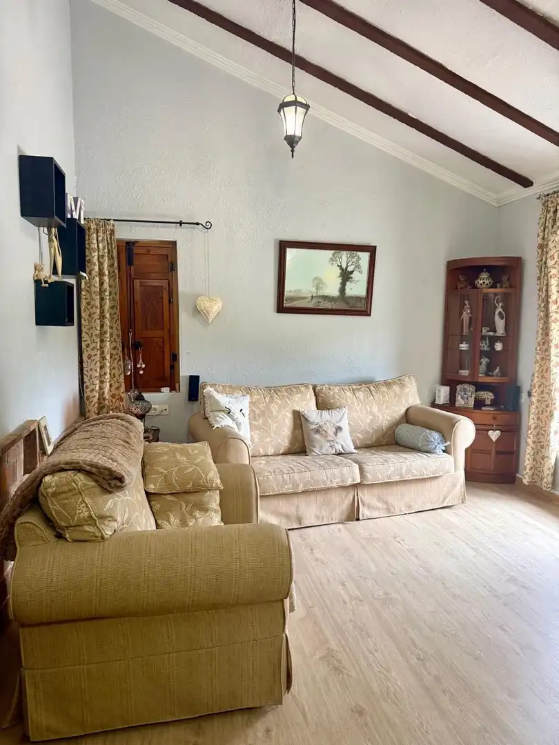 Sala de estar de Casa o chalet en venta en Villena con Trastero y Piscina